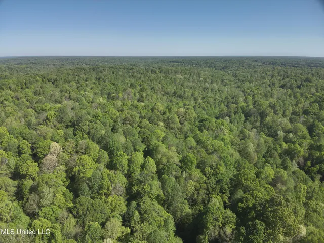 $230,100 | Anding Oil City Road, Bentonia, MS 39040