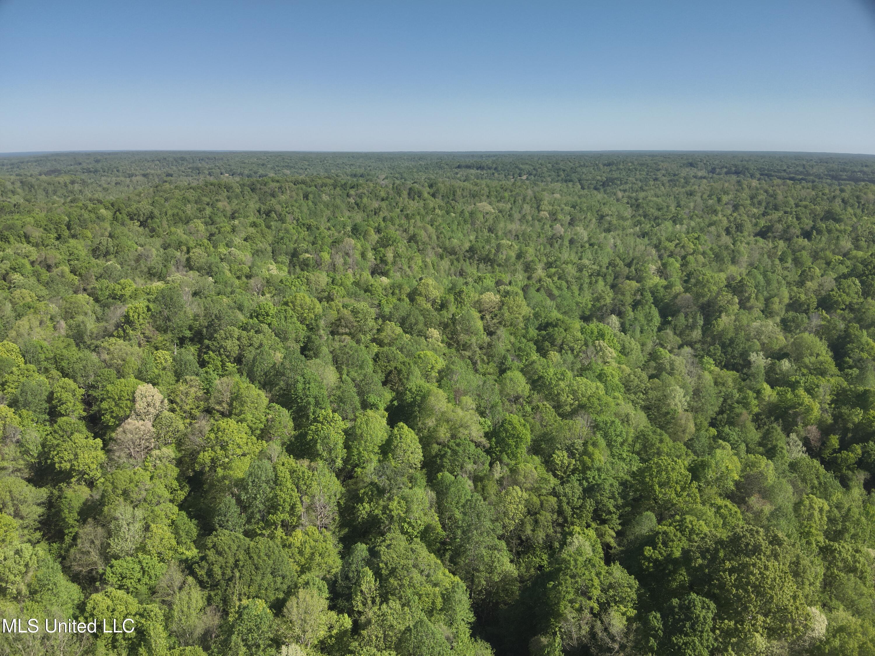 Anding Oil City Road Bentonia, MS 39040 - Photo 6 of 35 DJI_20250411100423_0007_V
