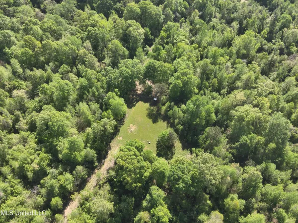 $230,100 | Anding Oil City Road, Bentonia, MS 39040