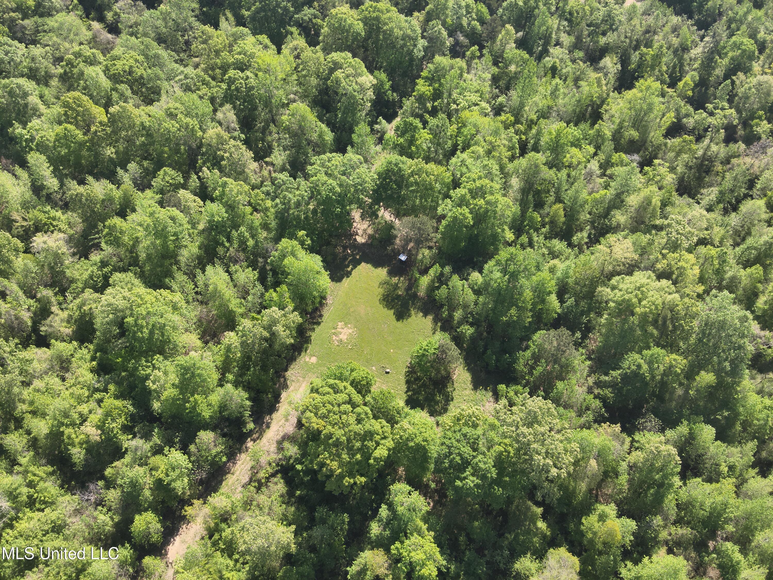 Anding Oil City Road Bentonia, MS 39040 - Photo 7 of 35 DJI_20250411100520_0009_V