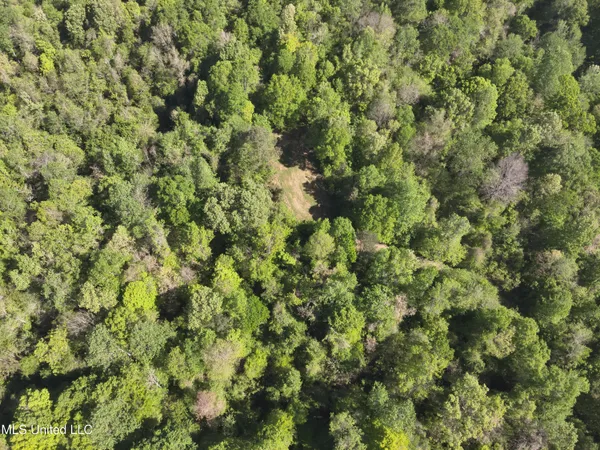 $230,100 | Anding Oil City Road, Bentonia, MS 39040