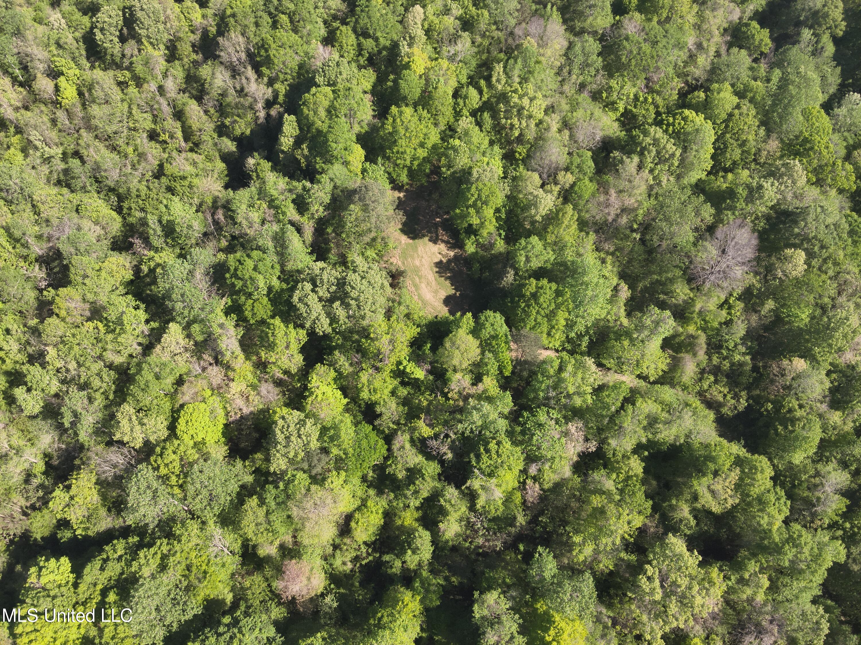 Anding Oil City Road Bentonia, MS 39040 - Photo 8 of 35 DJI_20250411100536_0010_V