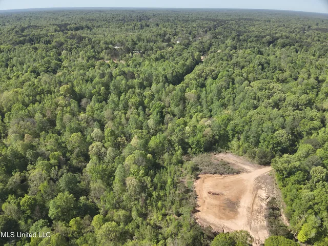 $230,100 | Anding Oil City Road, Bentonia, MS 39040