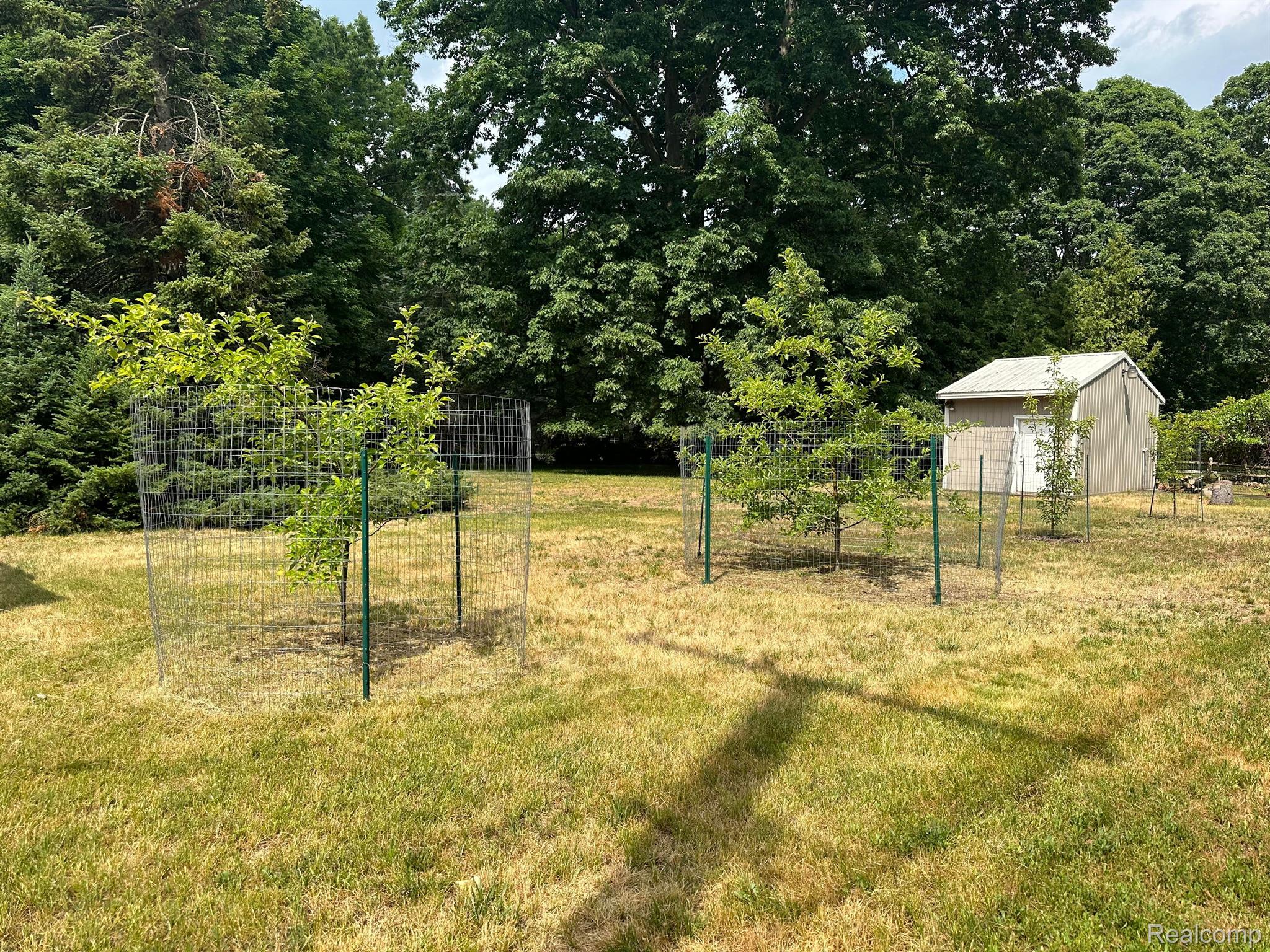 32621 Curtis Road Livonia, MI 48152 - Photo 16 of 42 Gallery Image 16
