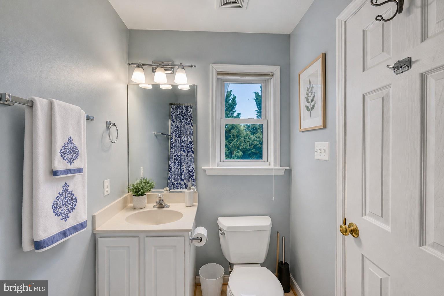5815 Springfield Farm Lane Mineral, VA 23117 - Photo 56 of 79 Primary Bath