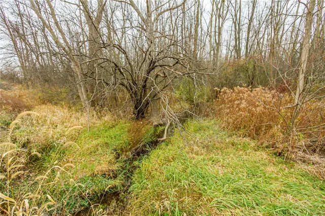 $59,900 | 0 State Routes 5 And 20 Highway, Geneva, NY 14456