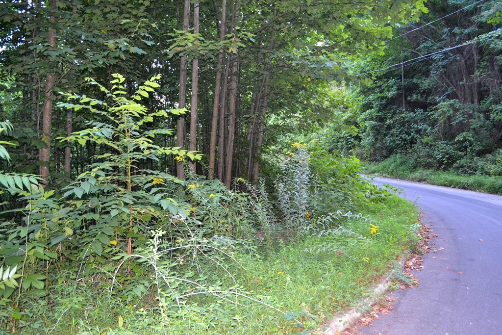 0 Bluff Ridge Road Sevierville, TN 37876 - Photo 13 of 15