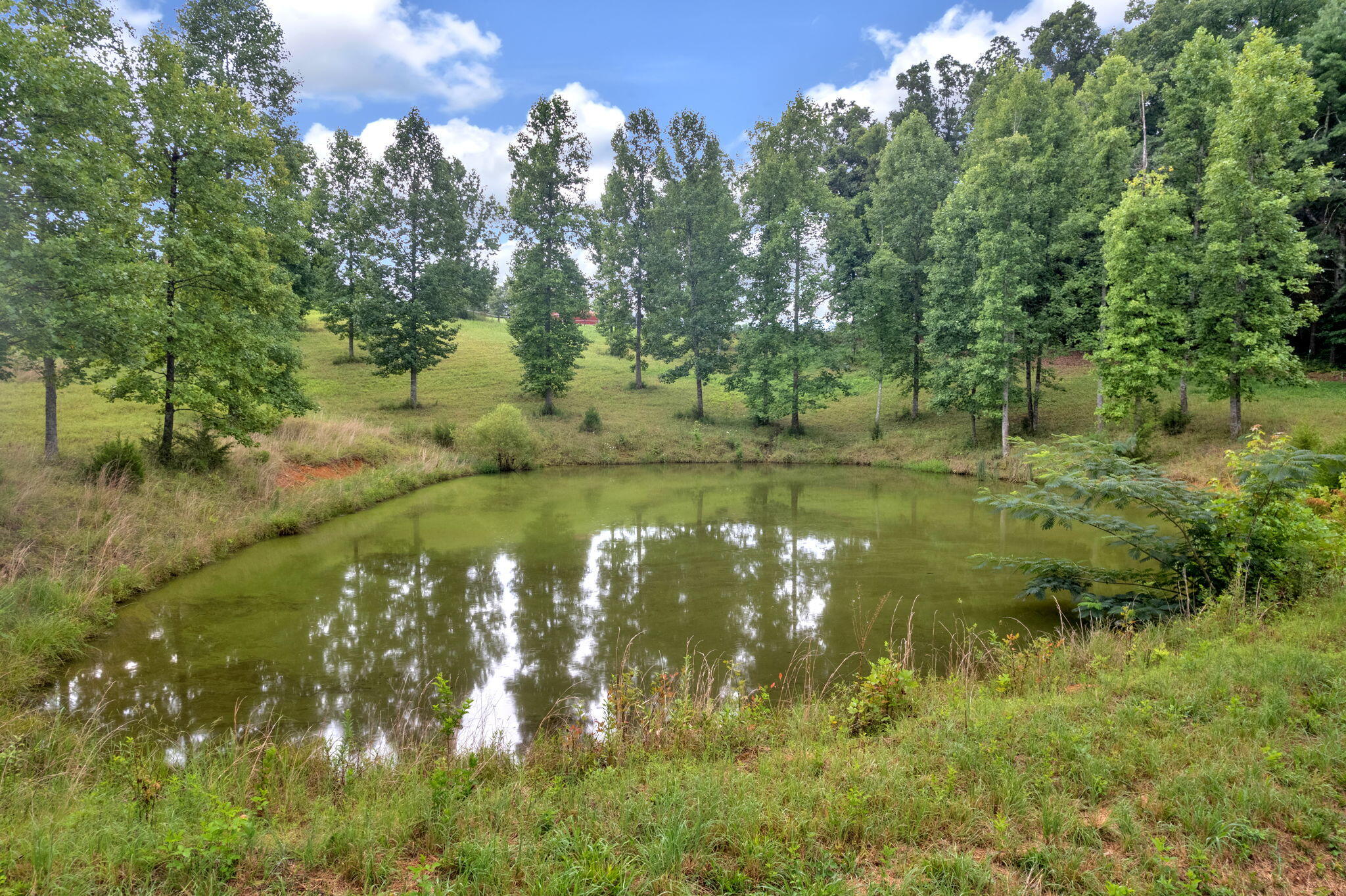 177 Pepper Mill Road Chuckey, TN 37641 - Photo 40 of 54 40-web-or-mls-DJI_0881