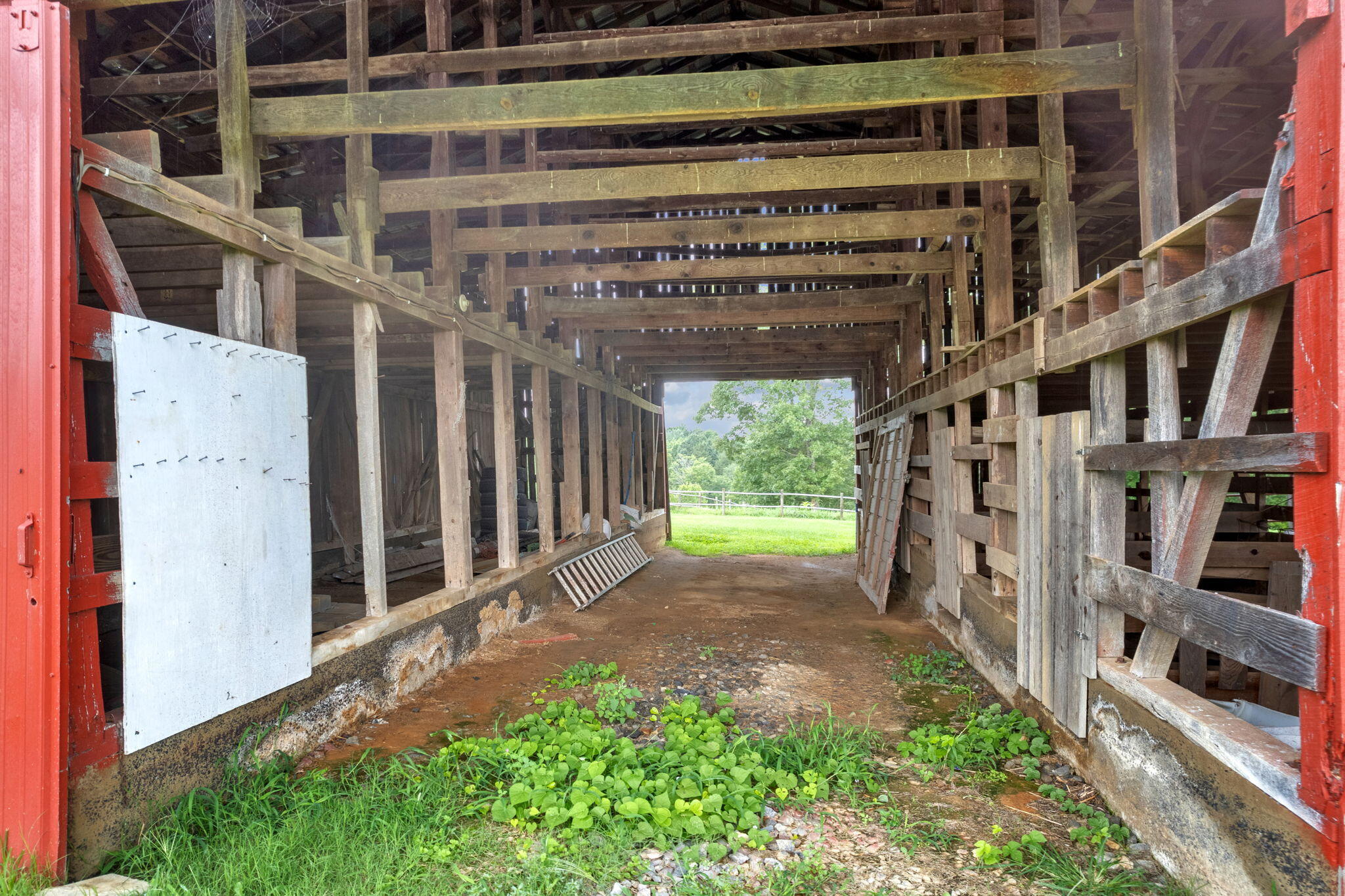 177 Pepper Mill Road Chuckey, TN 37641 - Photo 48 of 54 48-web-or-mls-DJI_0905