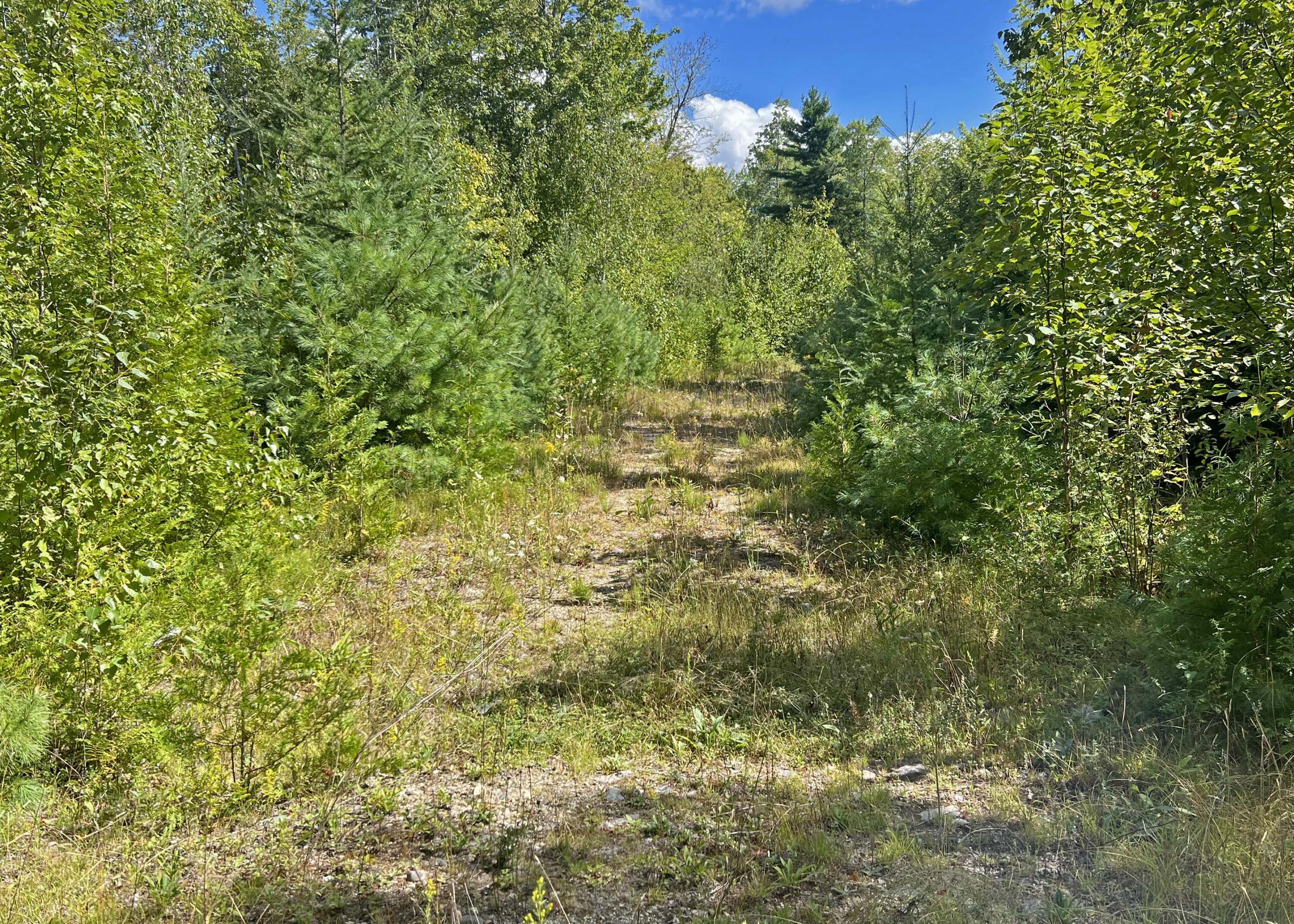 0 Bangor Road Ellsworth, ME 04605 - Photo 10 of 14 1j