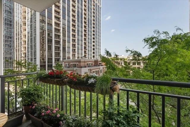 a view of a garden with plants