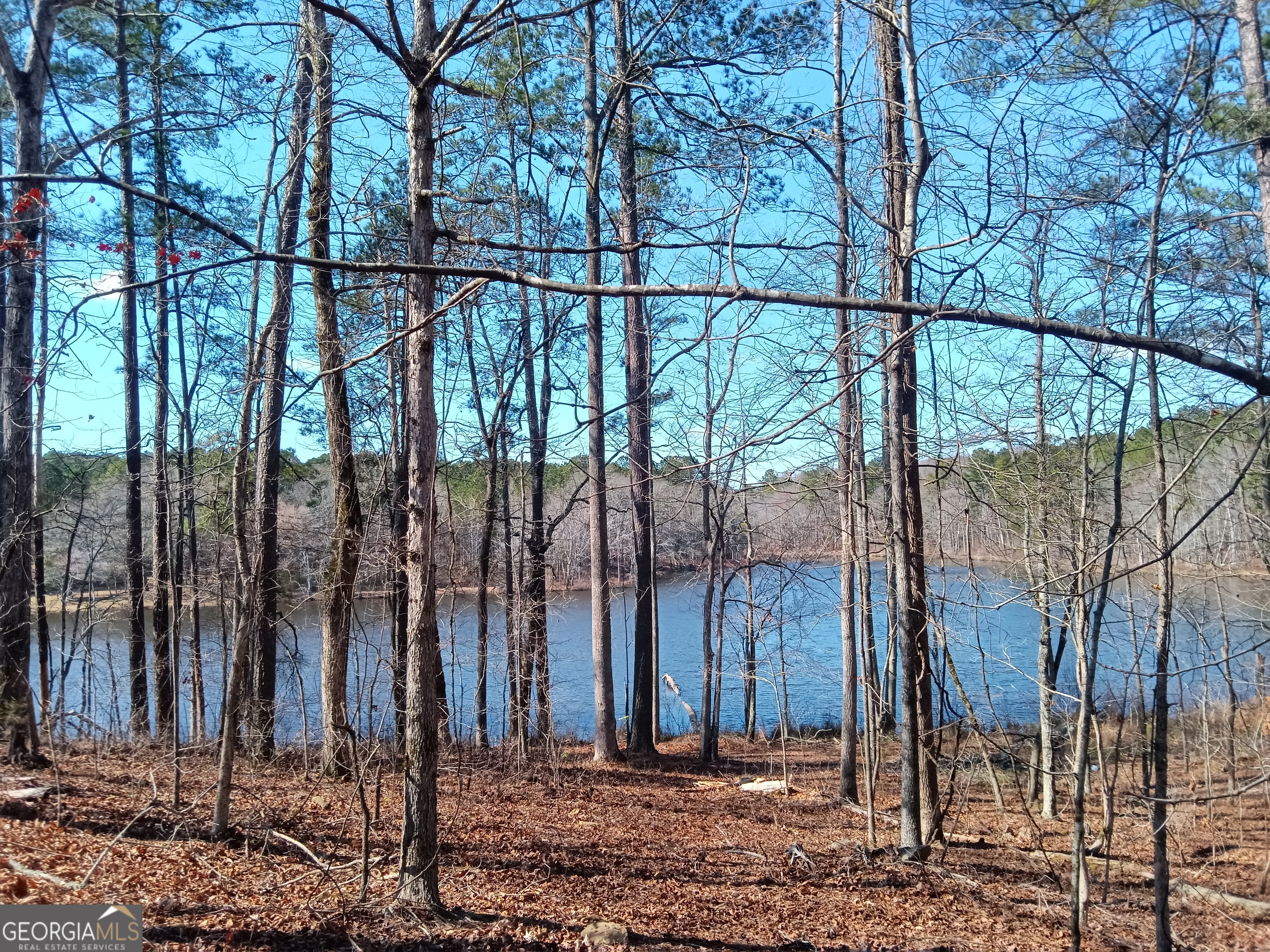 5 Rivers Road Fayetteville, GA 30214 - Photo 3 of 4