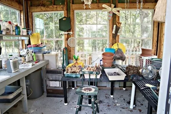 front view of house with a yard and potted plants