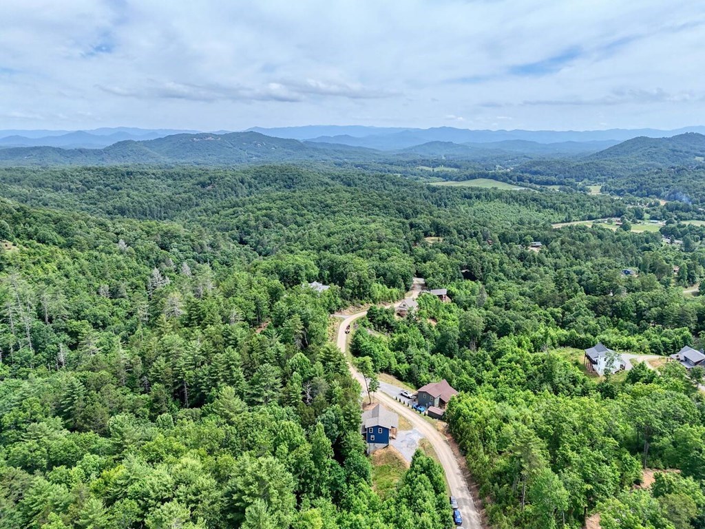 604 Point Overlook Trail Murphy, NC 28906 - Photo 47 of 58 Gallery Image 47
