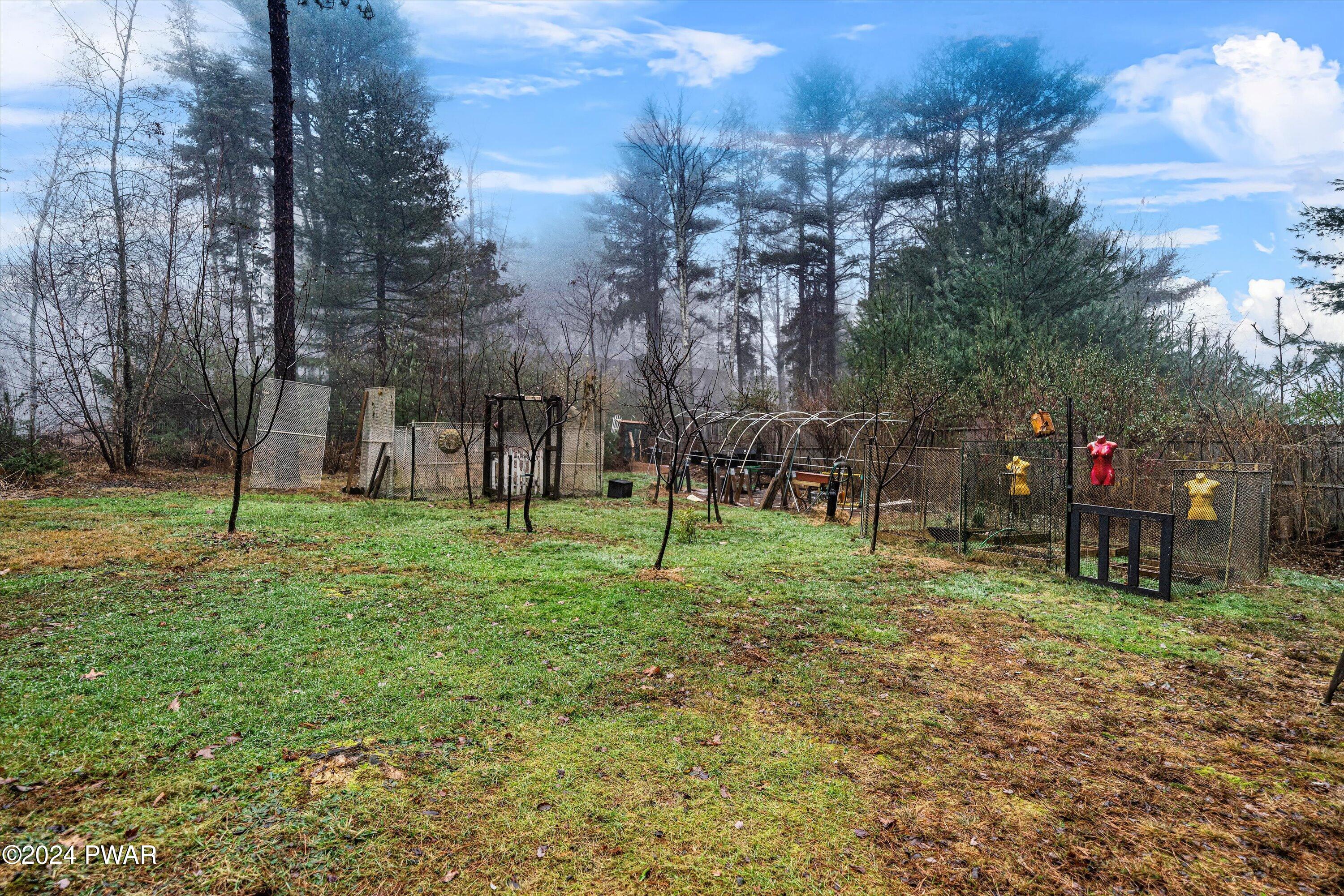 565 Silver Lake Road Dingmans Ferry, PA 18328 - Photo 58 of 66 Back Yard