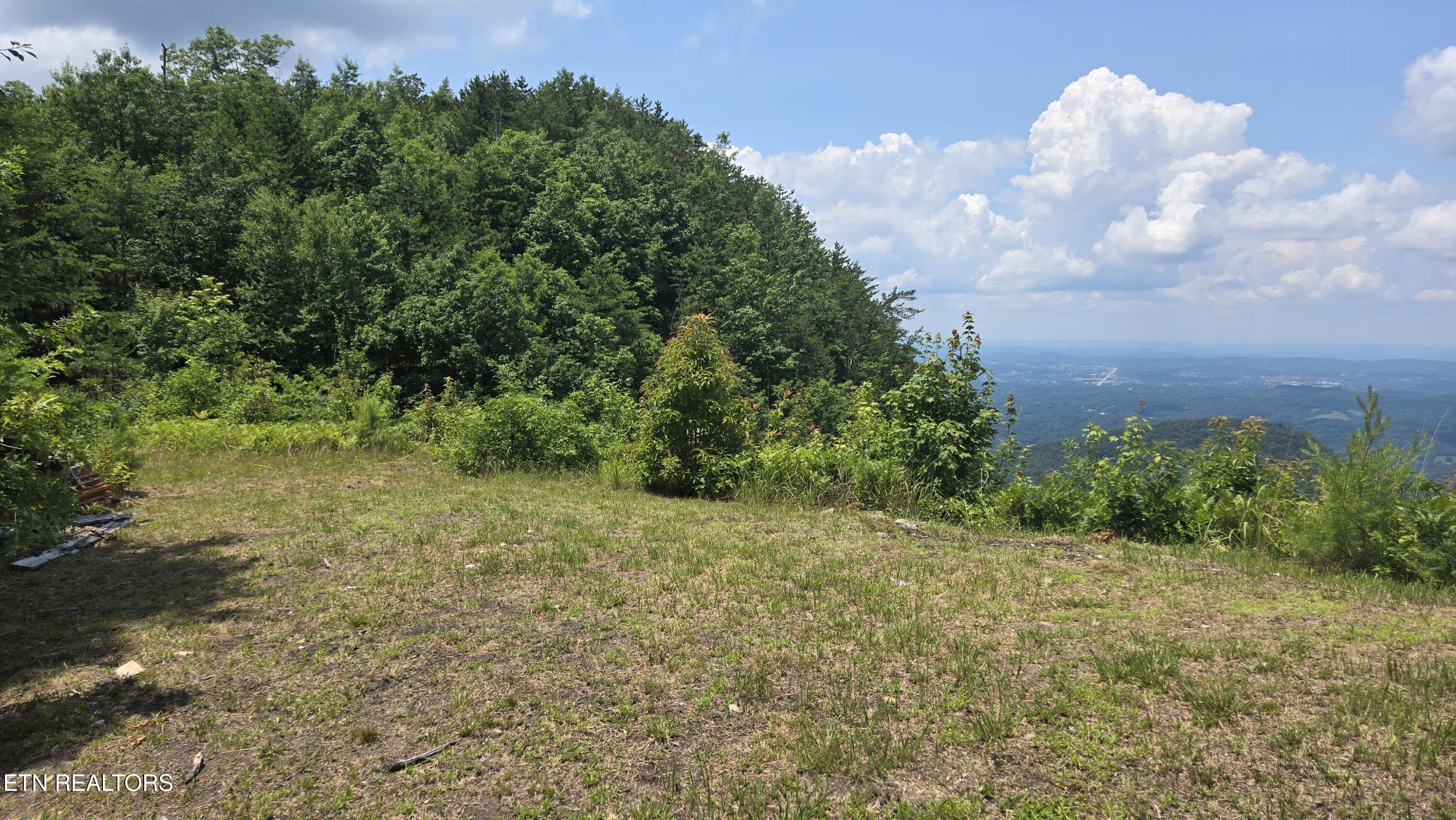 0 Top Road Sevierville, TN 37876 - Photo 9 of 9 20260626_133419