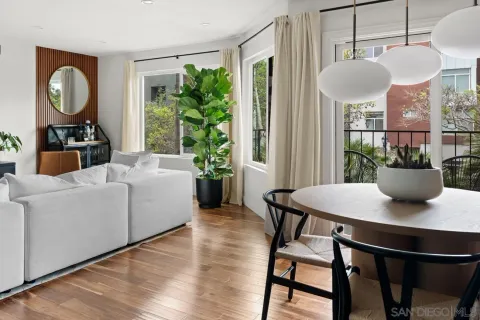 a living room with furniture and a potted plant