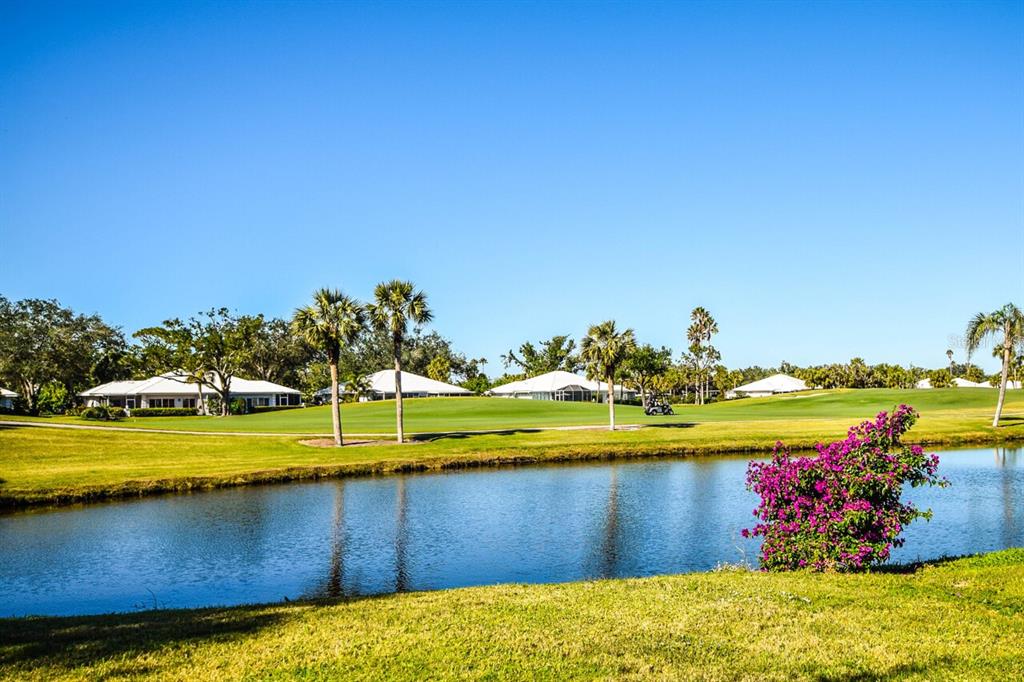 427 Cerromar Lane, Unit 356 Venice, FL 34293 - Photo 37 of 52