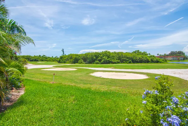 a view of a green field with clear sky