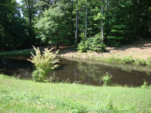 4463 Colon Road Sanford, NC 27330 - Photo 19 of 36 Gallery Image 19