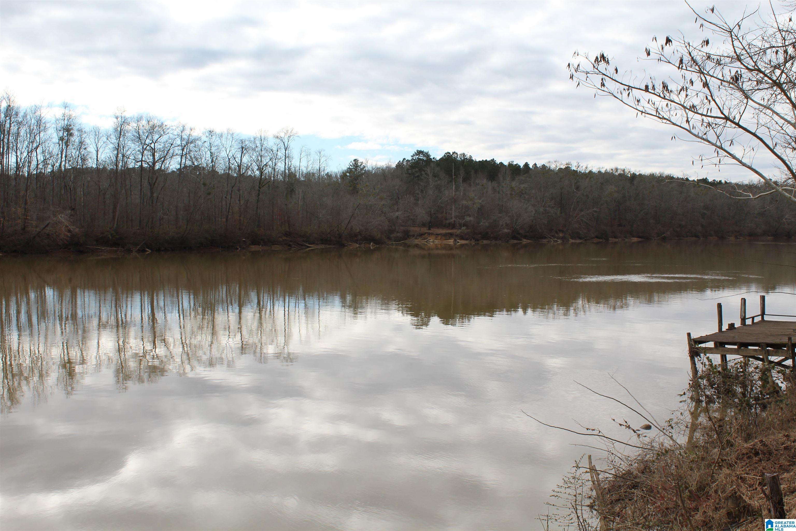 0 Cherokee Drive, Unit 403 02/1 Ragland, AL 35131 - Photo 2 of 9