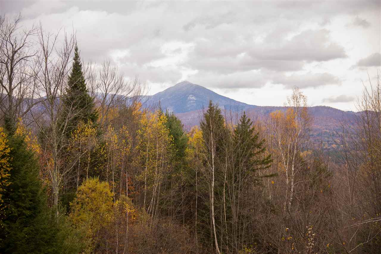 804 Worcester Loop Stowe, VT 05672 - Photo 30 of 31 Gallery Image 30