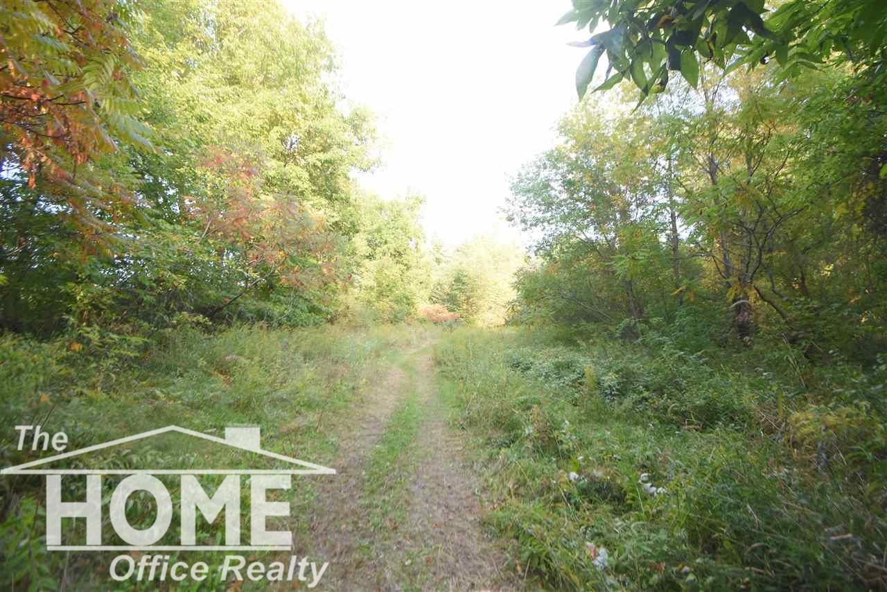 10510 Scribner Road Bancroft, MI 48414 - Photo 3 of 19