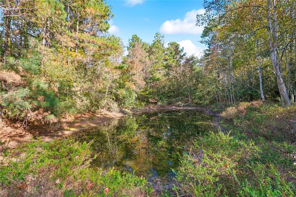 13485 Highway 1077 Folsom, LA 70437 - Photo 29 of 31