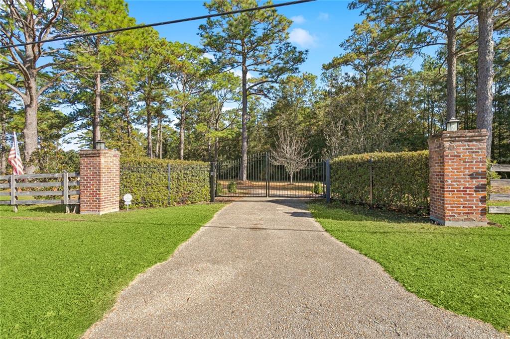 13485 Highway 1077 Folsom, LA 70437 - Photo 5 of 31