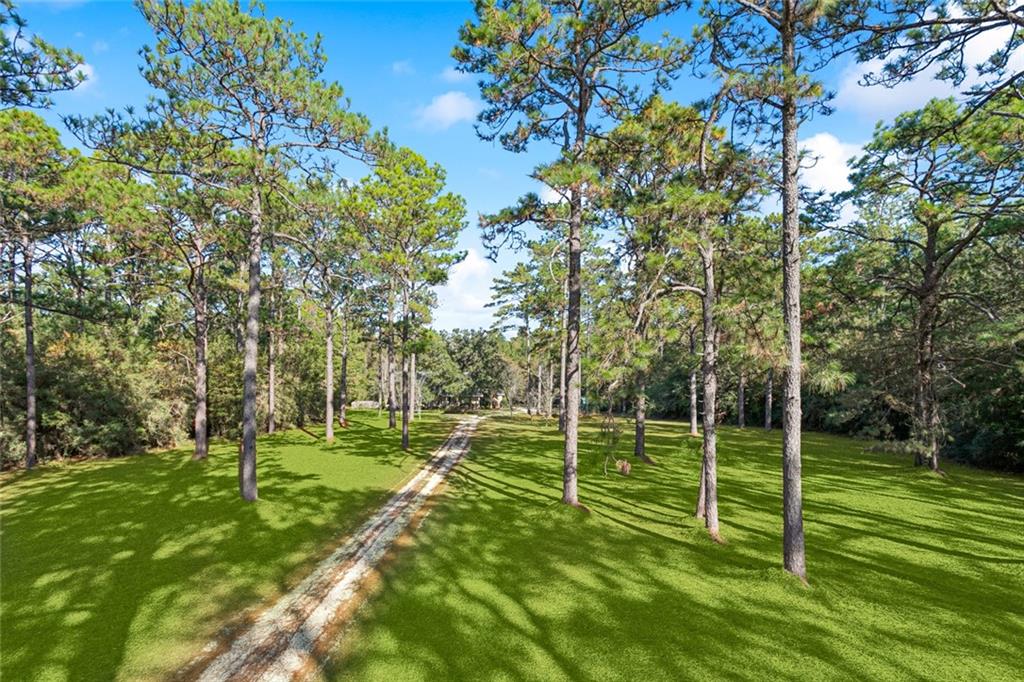 13485 Highway 1077 Folsom, LA 70437 - Photo 6 of 31