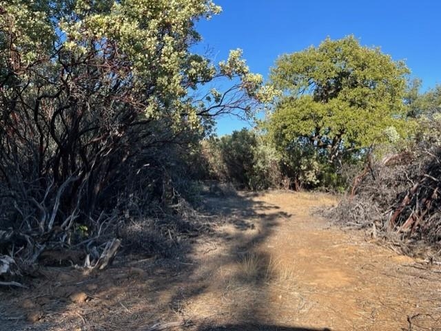 3 Italian Bar Road Twain Harte, CA 95383 - Photo 3 of 6 a view of a tree with a yard