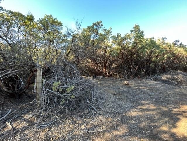 3 Italian Bar Road Twain Harte, CA 95383 - Photo 4 of 6 a view of a backyard