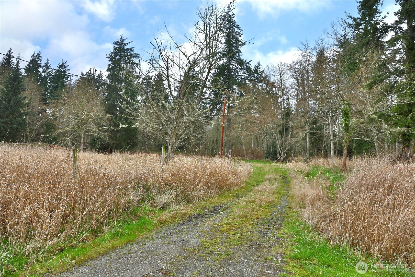 4604 Cedar Hill Road Langley, WA 98260 - Photo 4 of 9