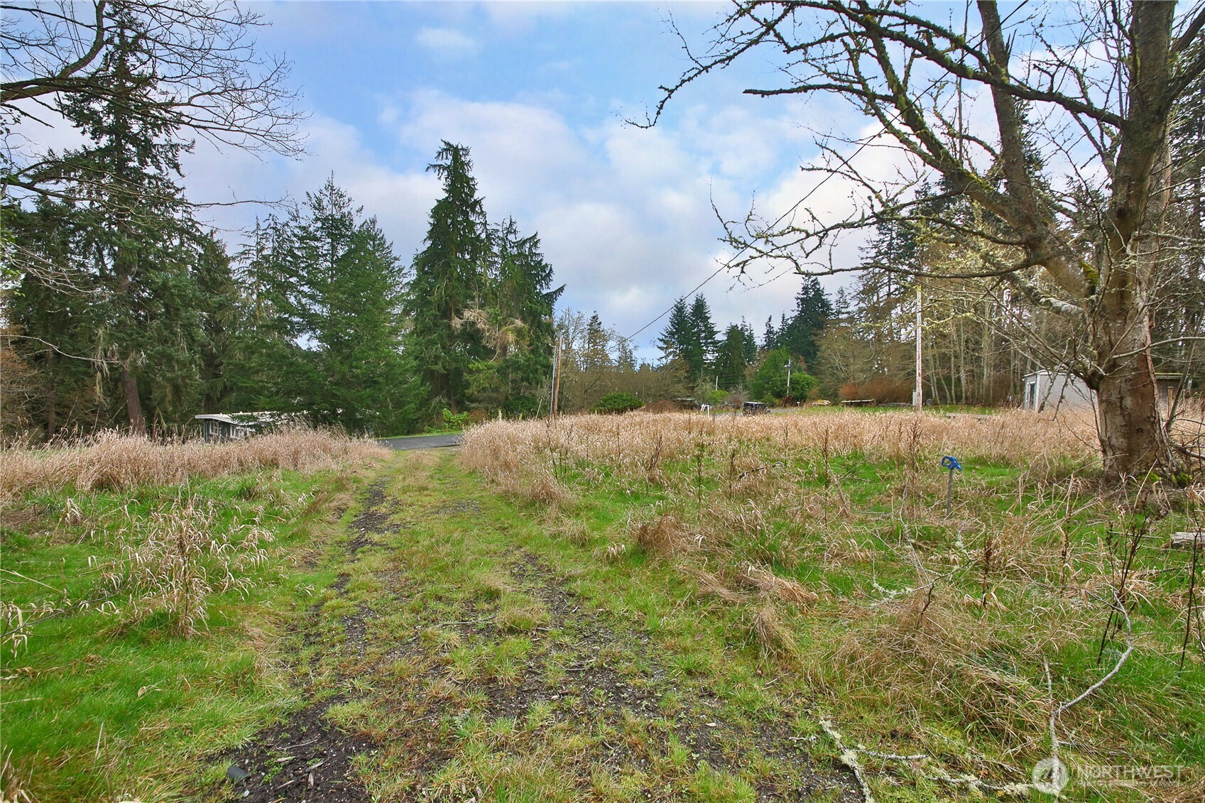 4604 Cedar Hill Road Langley, WA 98260 - Photo 5 of 9