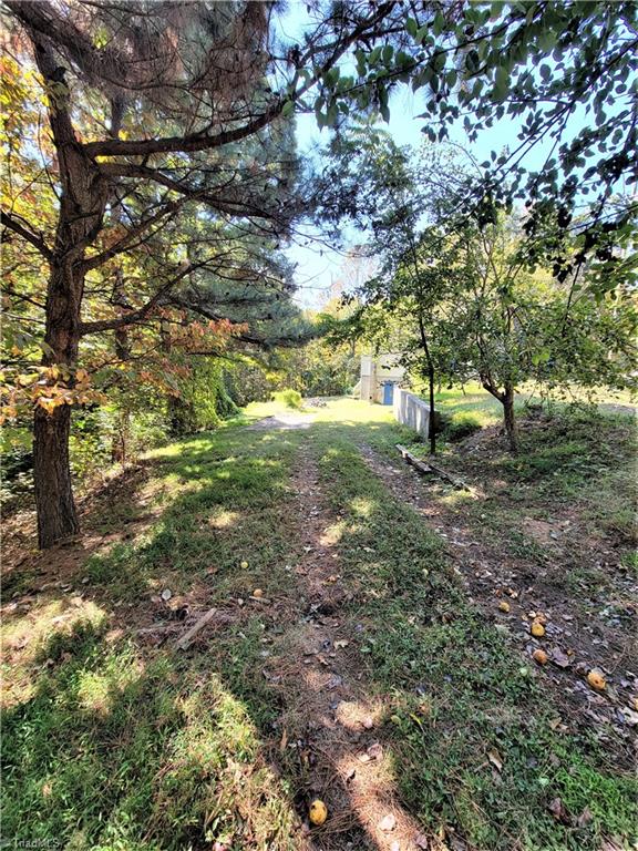 605 Tall Tree Road Clemmons, NC 27012 - Photo 19 of 21 Driveway to basement garage
