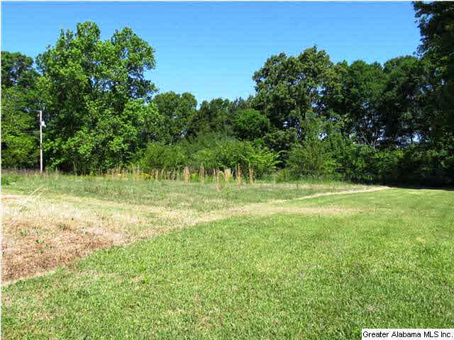 214 Bates Street Weaver, AL 36277 - Photo 25 of 29