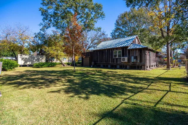 a view of a garden with plants