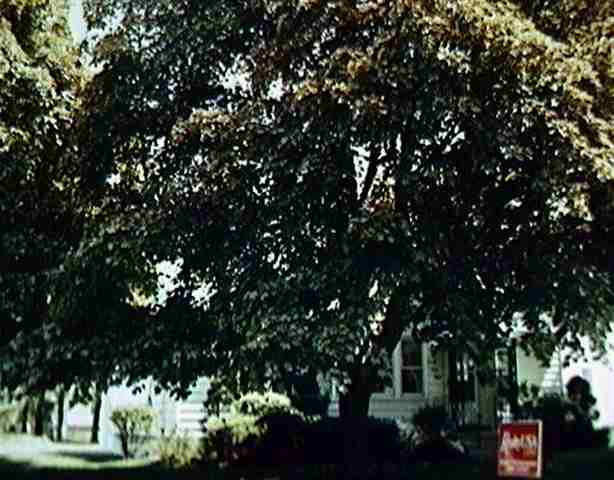 2068 Chepstow Road Rotterdam, NY 12303 - Photo 1 of 1 Photo 1