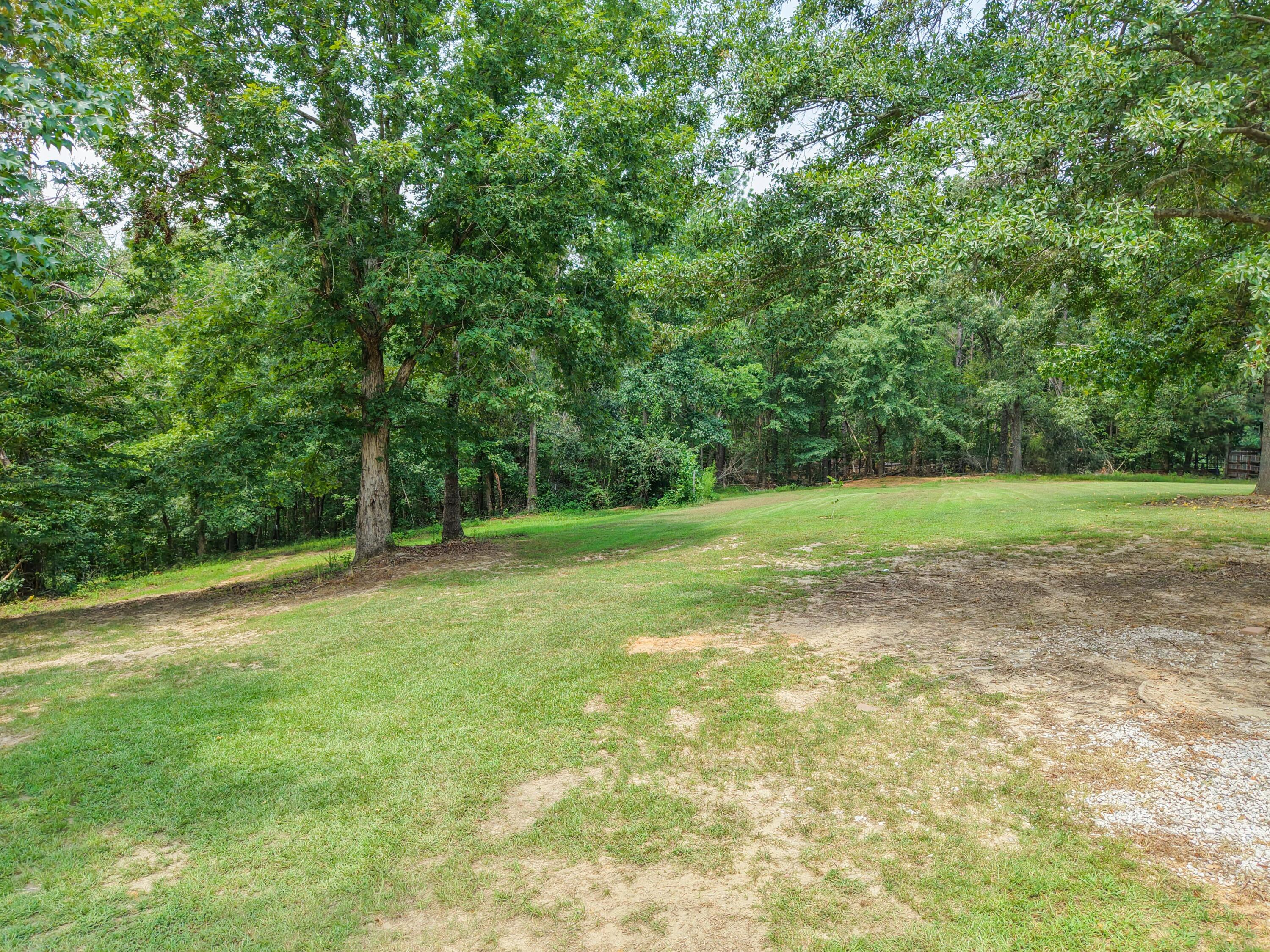 51 County Road 335 Rienzi, MS 38865 - Photo 36 of 52 Gallery Image 36