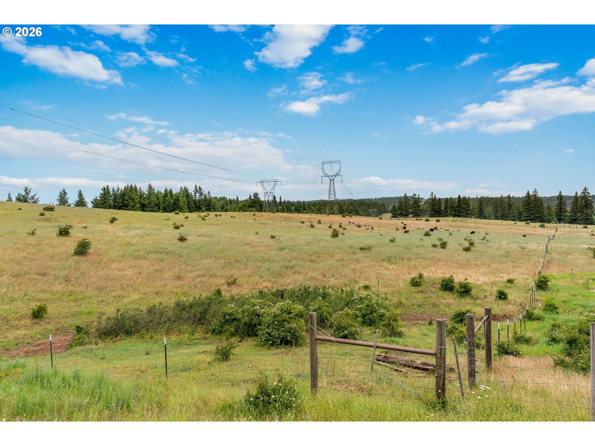 19 Kida Road White Salmon, WA 98672 - Photo 43 of 44