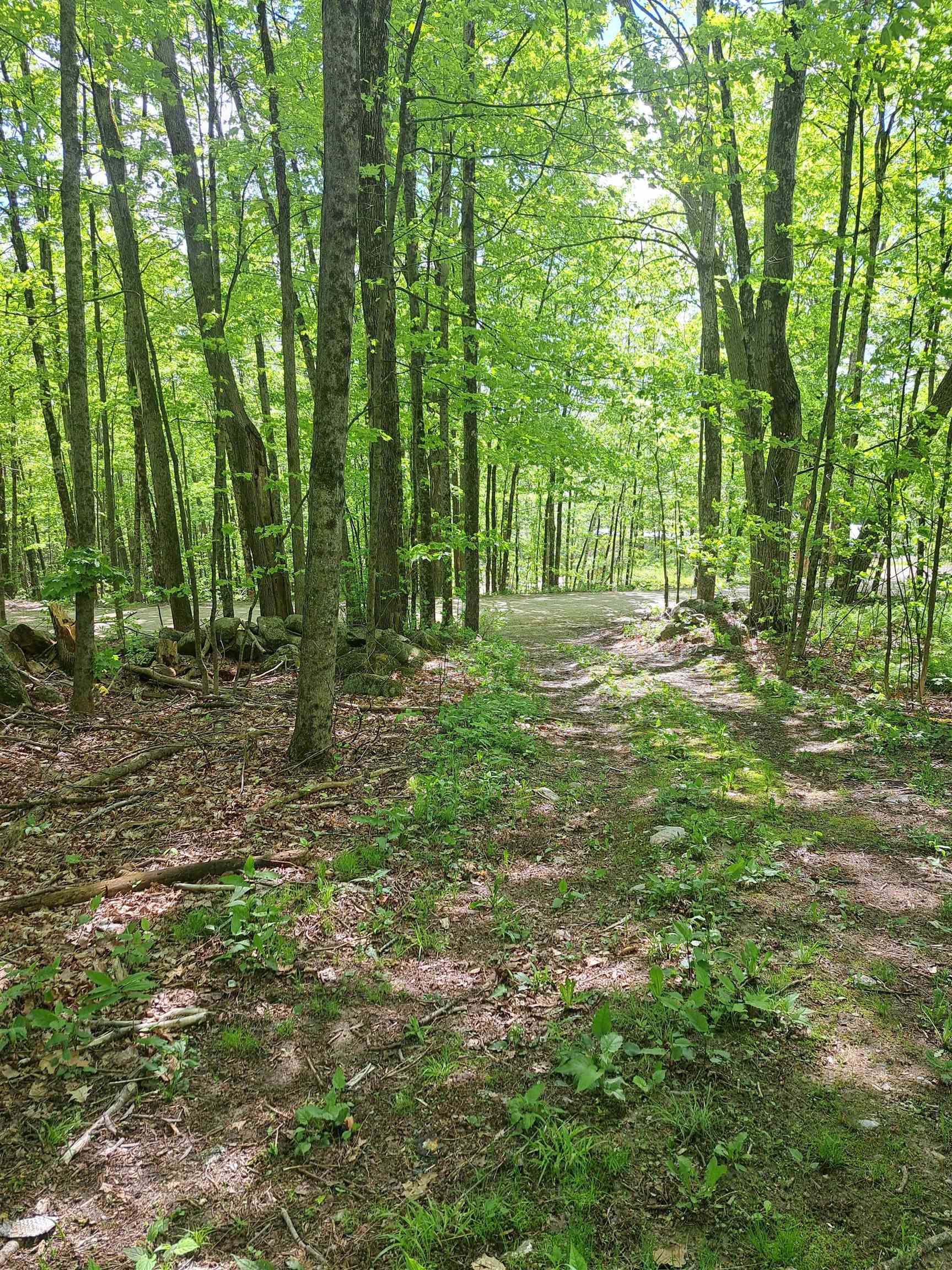 81 Hart Farm Road Deering, NH 03244 - Photo 2 of 17