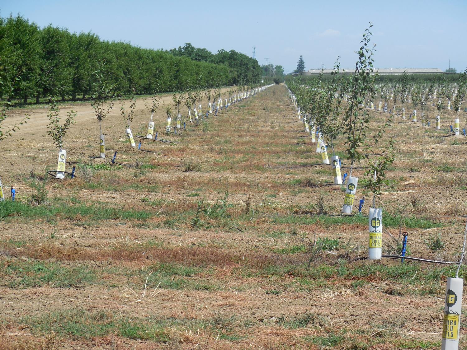 2200 Encinal Road Live Oak, CA 95953 - Photo 12 of 28 a view of lake