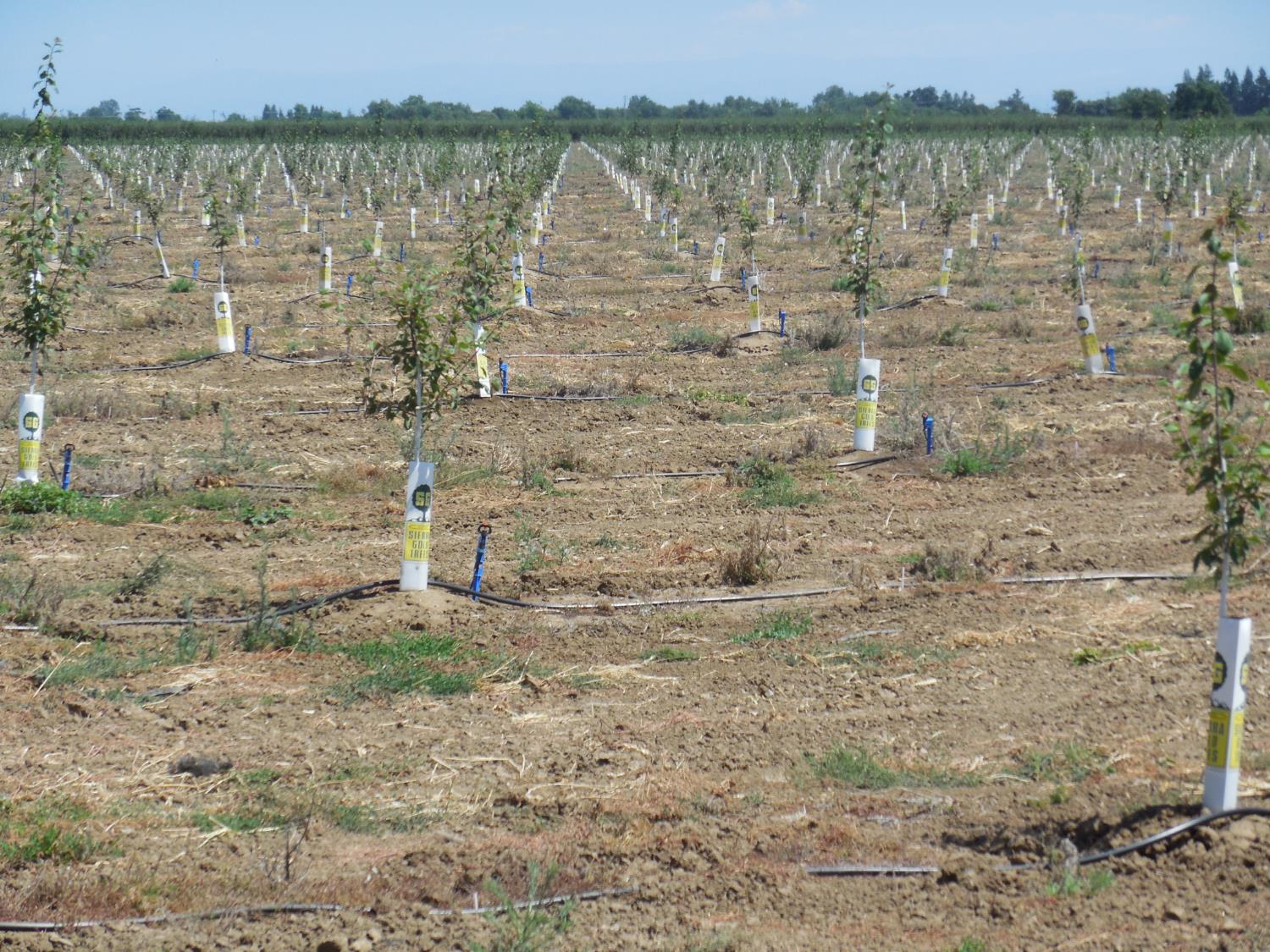 2200 Encinal Road Live Oak, CA 95953 - Photo 13 of 28 a brick building with a lake view