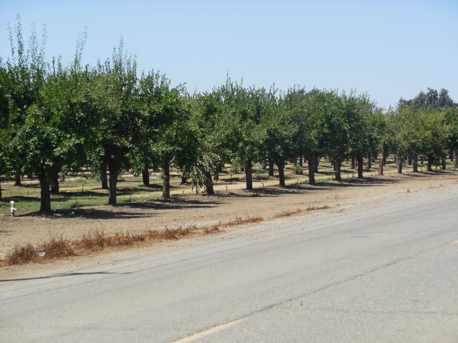 2200 Encinal Road Live Oak, CA 95953 - Photo 4 of 28 a view of road with a houses