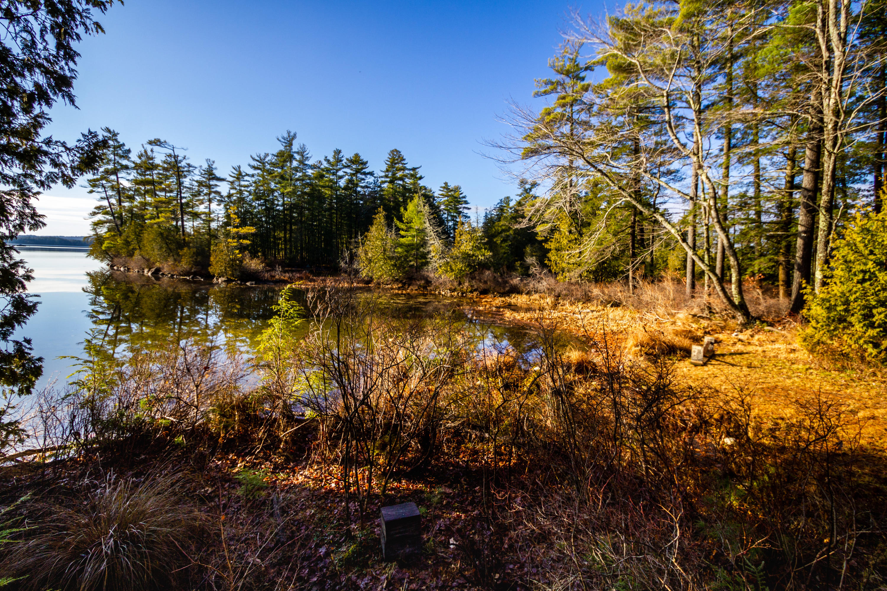 266 Timber Point Road Belgrade, ME 04917 - Photo 19 of 22 IMG_7550