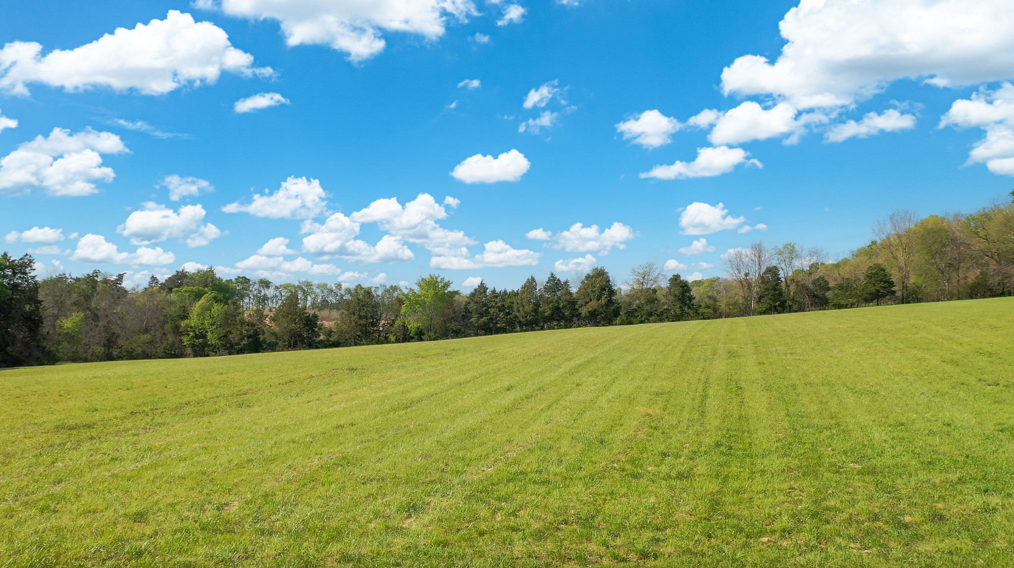865 Haley Road Wartrace, TN 37183 - Photo 8 of 34