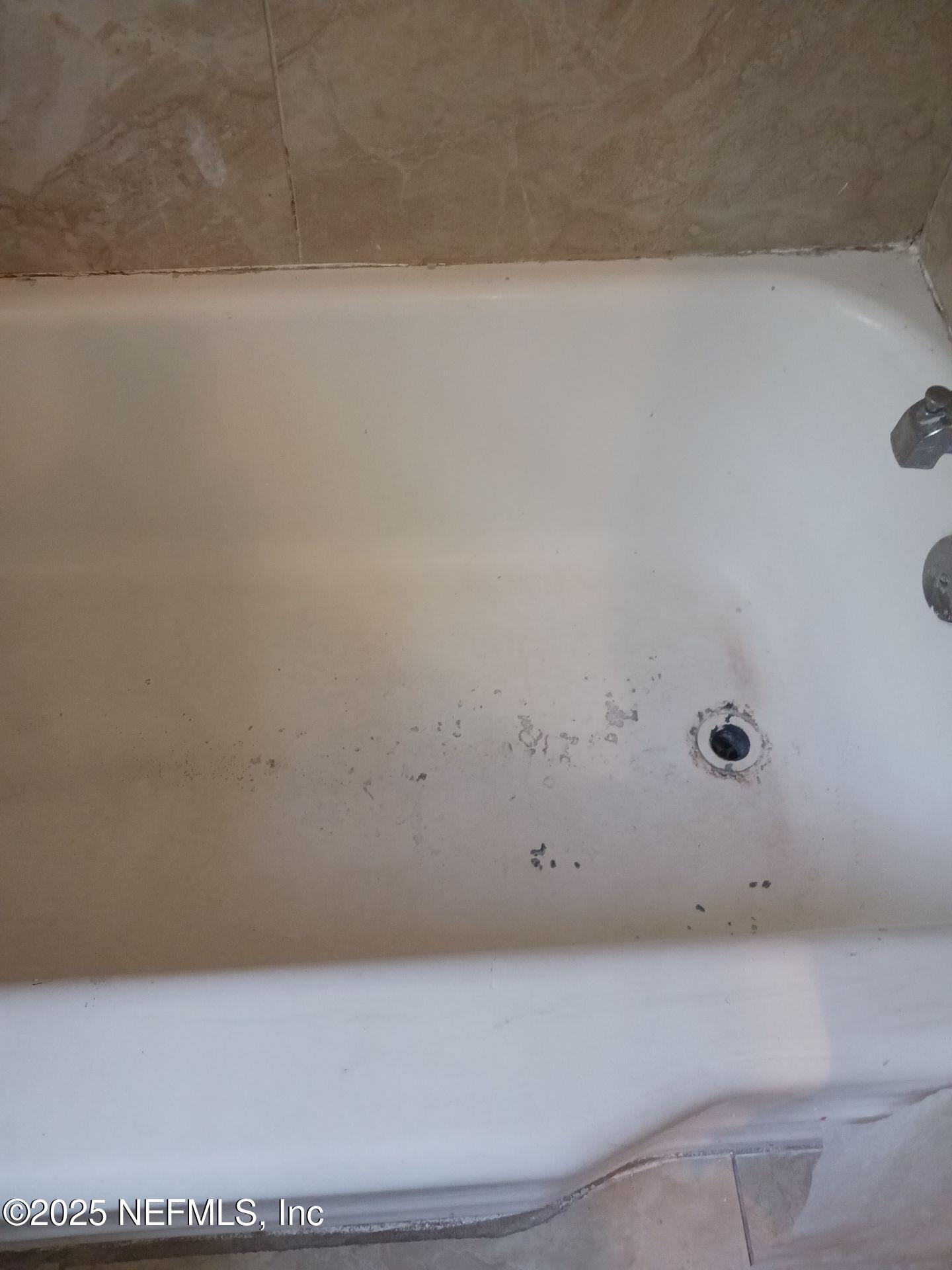 1444 West 9th Street Jacksonville, FL 32209 - Photo 7 of 14 7-Apr 11 2025 04_22am-mQwr