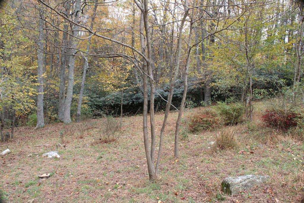 Tbd Terry's Mill Road, Unit 121A61 Laurel Fork, VA 24352 - Photo 45 of 71 Gallery Image 45