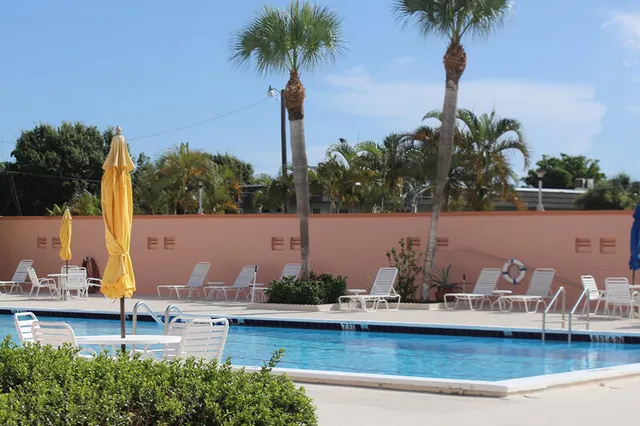a view of a tennis ground with large trees