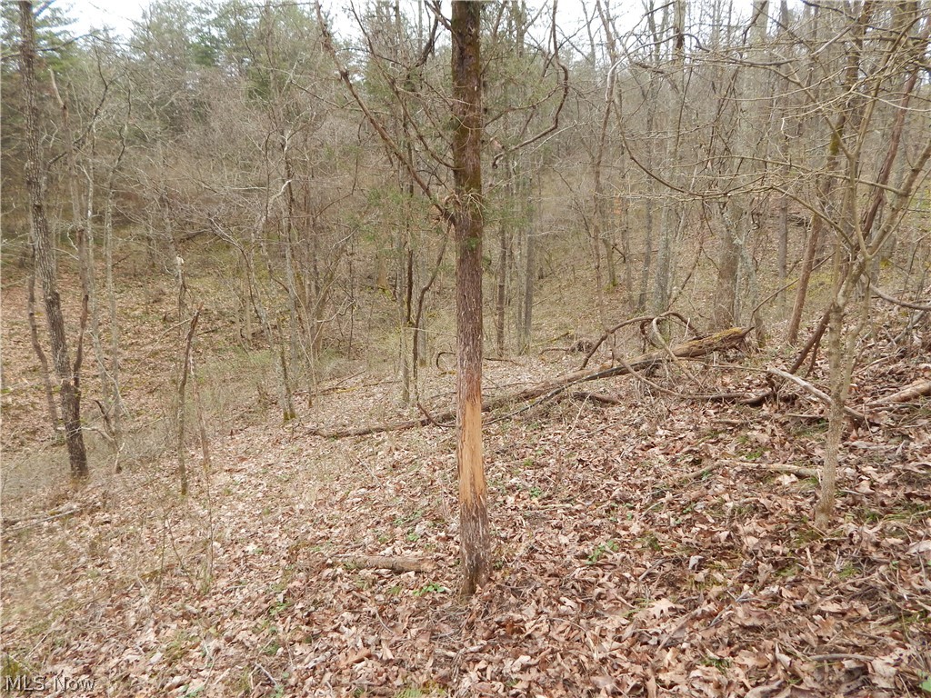 Lick Run Road Smithville, WV 26178 - Photo 24 of 30